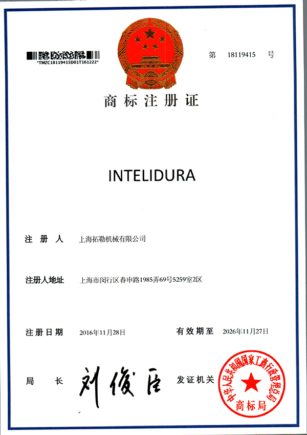 Brand-Intelidura